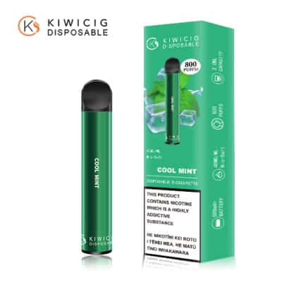 Cool Mint disposable vape